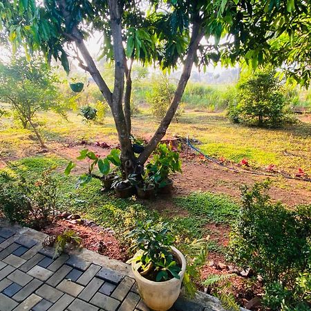 Fairview Dill Homestay 锡吉里亚 外观 照片