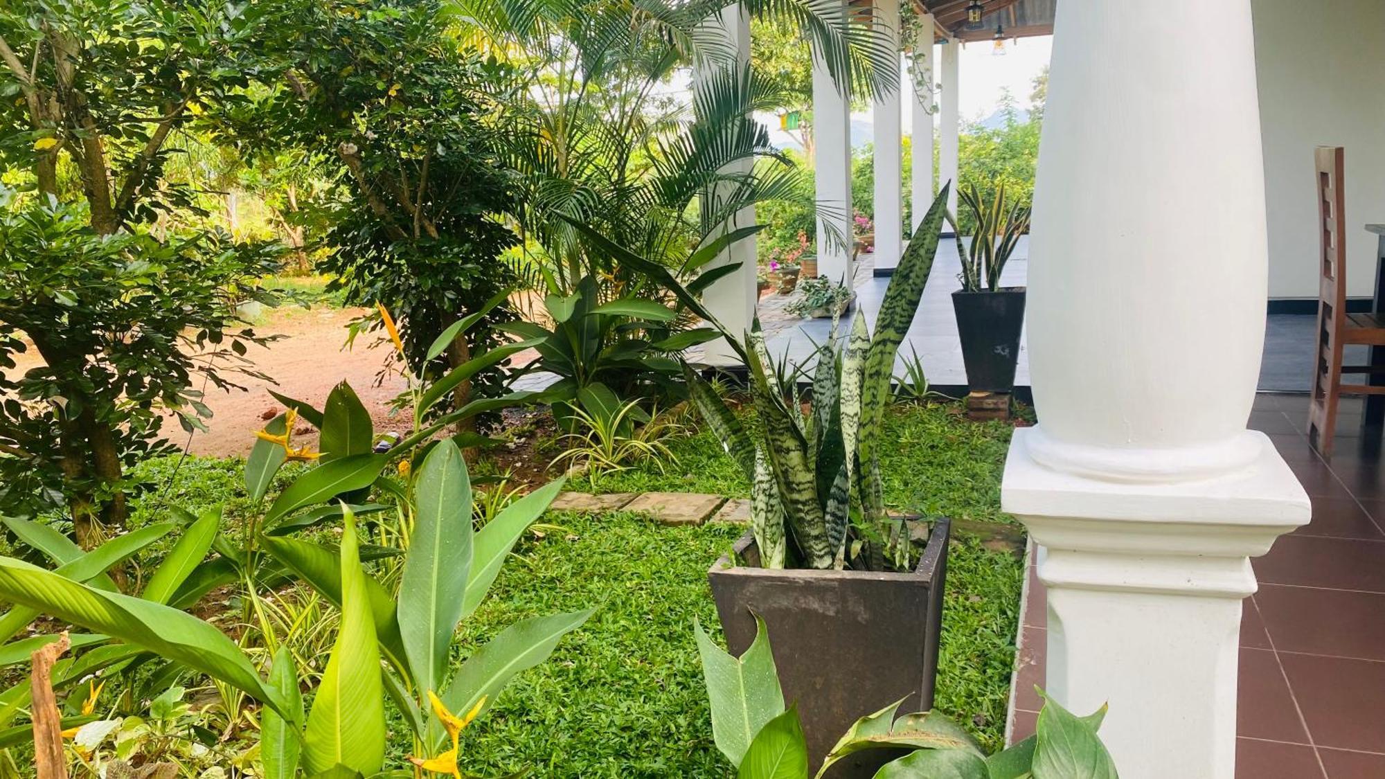 Fairview Dill Homestay 锡吉里亚 外观 照片