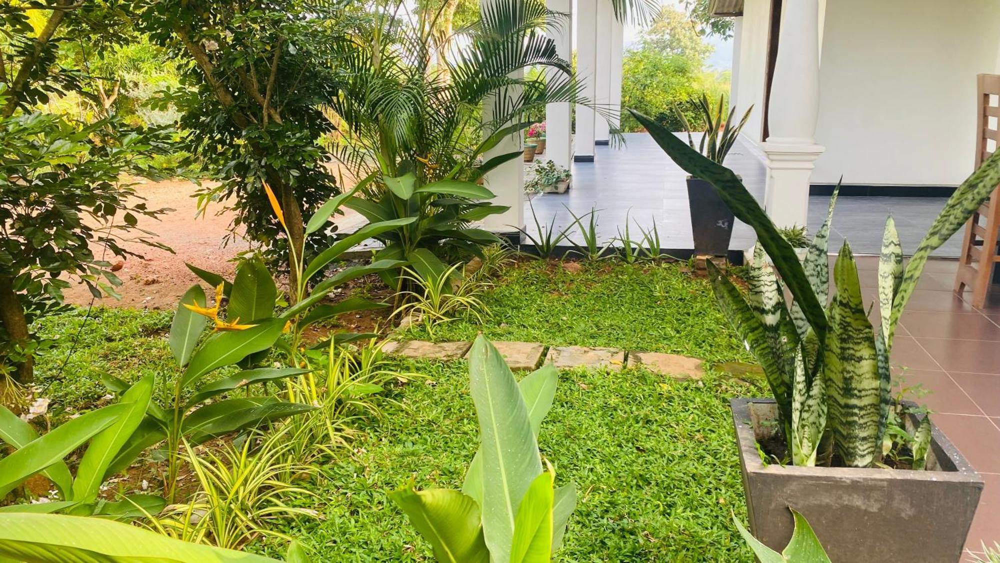Fairview Dill Homestay 锡吉里亚 外观 照片