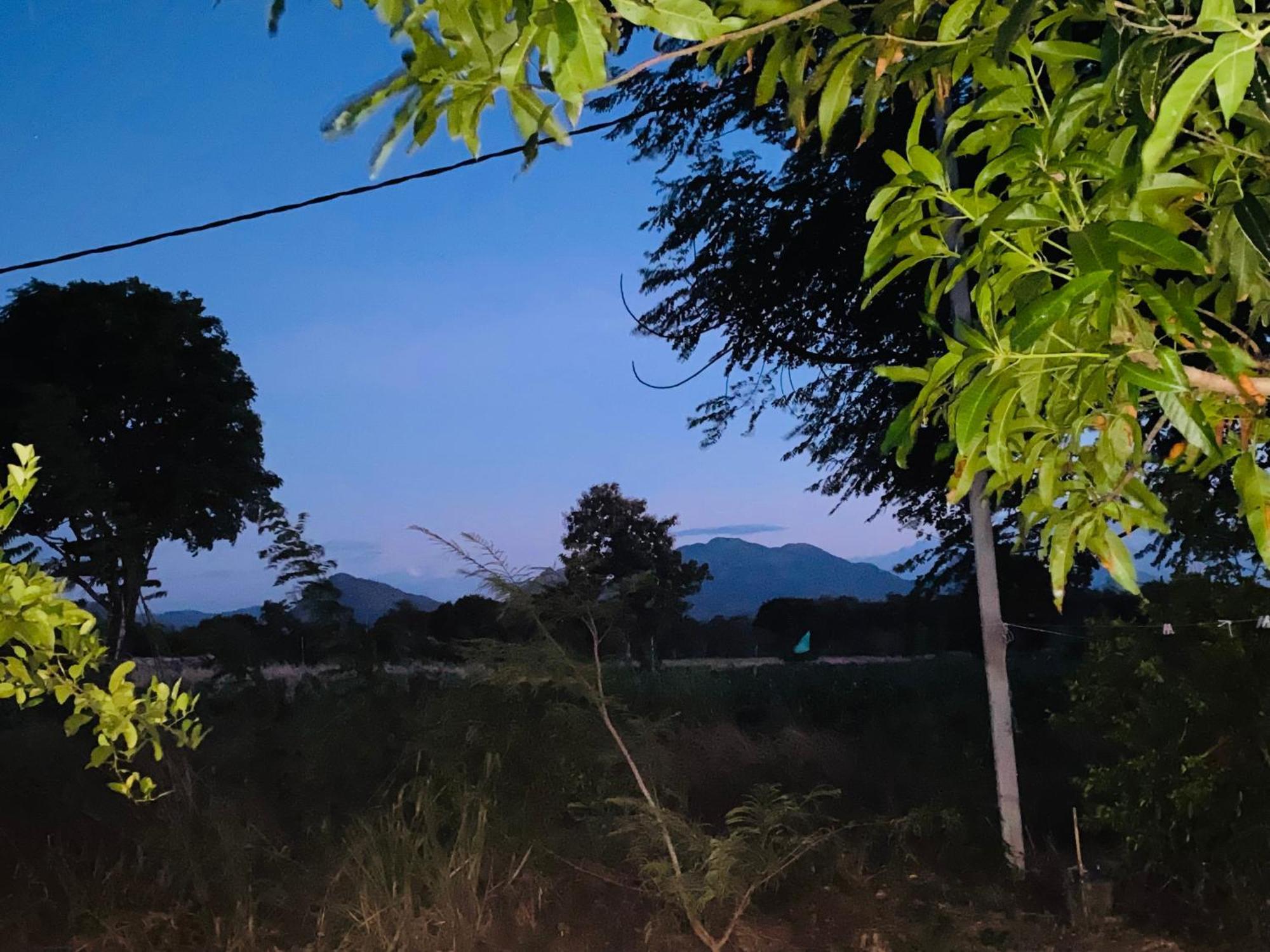 Fairview Dill Homestay 锡吉里亚 外观 照片