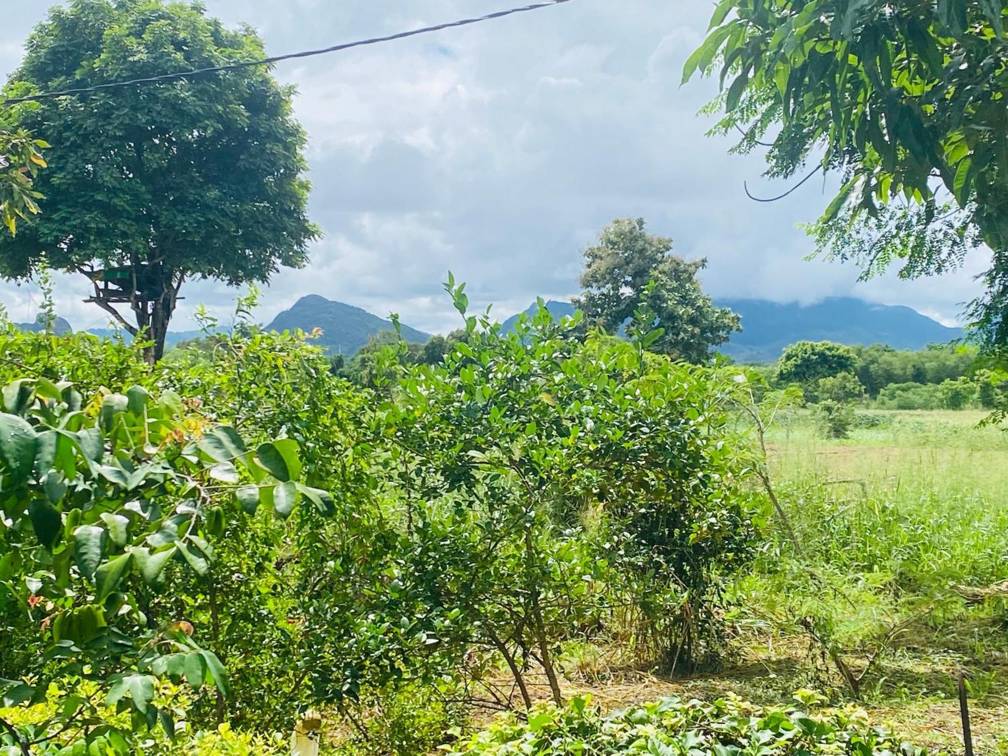 Fairview Dill Homestay 锡吉里亚 外观 照片