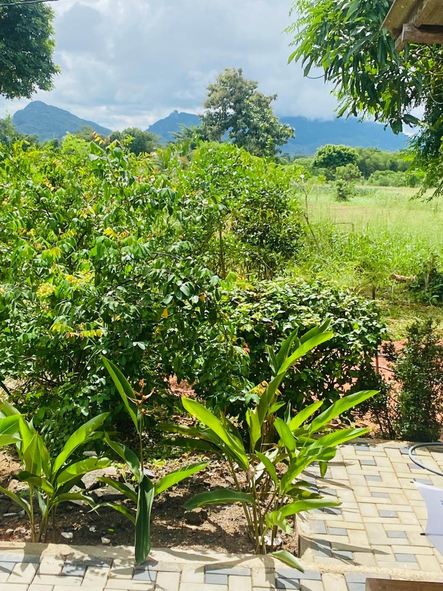 Fairview Dill Homestay 锡吉里亚 外观 照片