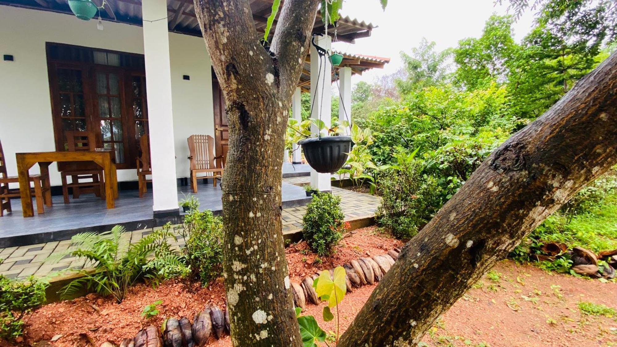 Fairview Dill Homestay 锡吉里亚 外观 照片