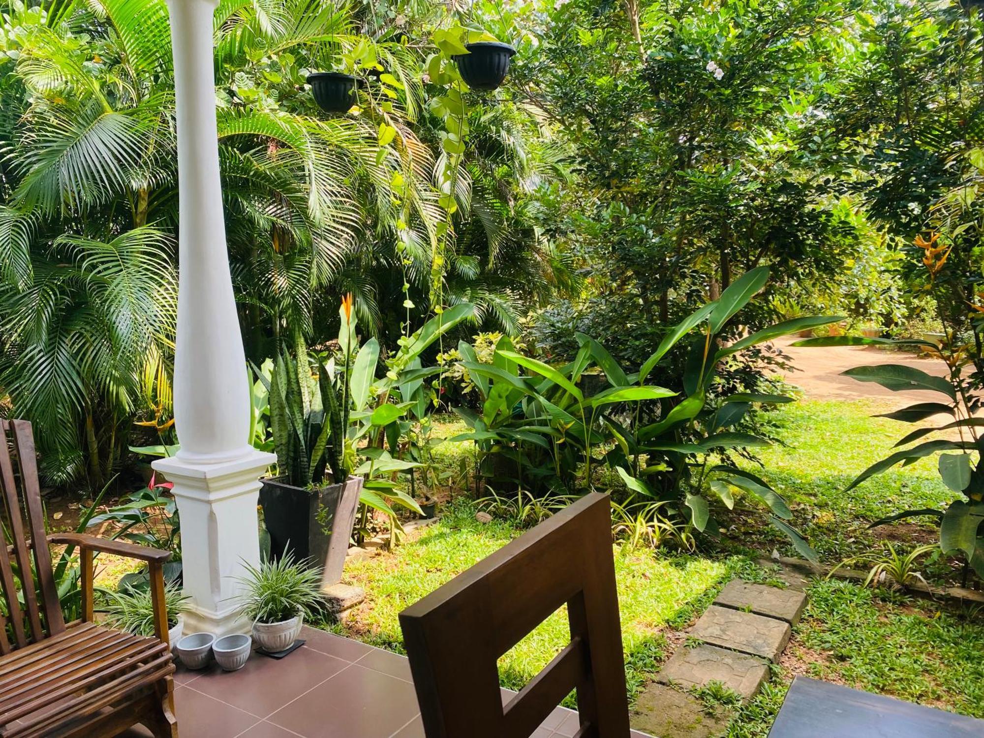 Fairview Dill Homestay 锡吉里亚 外观 照片