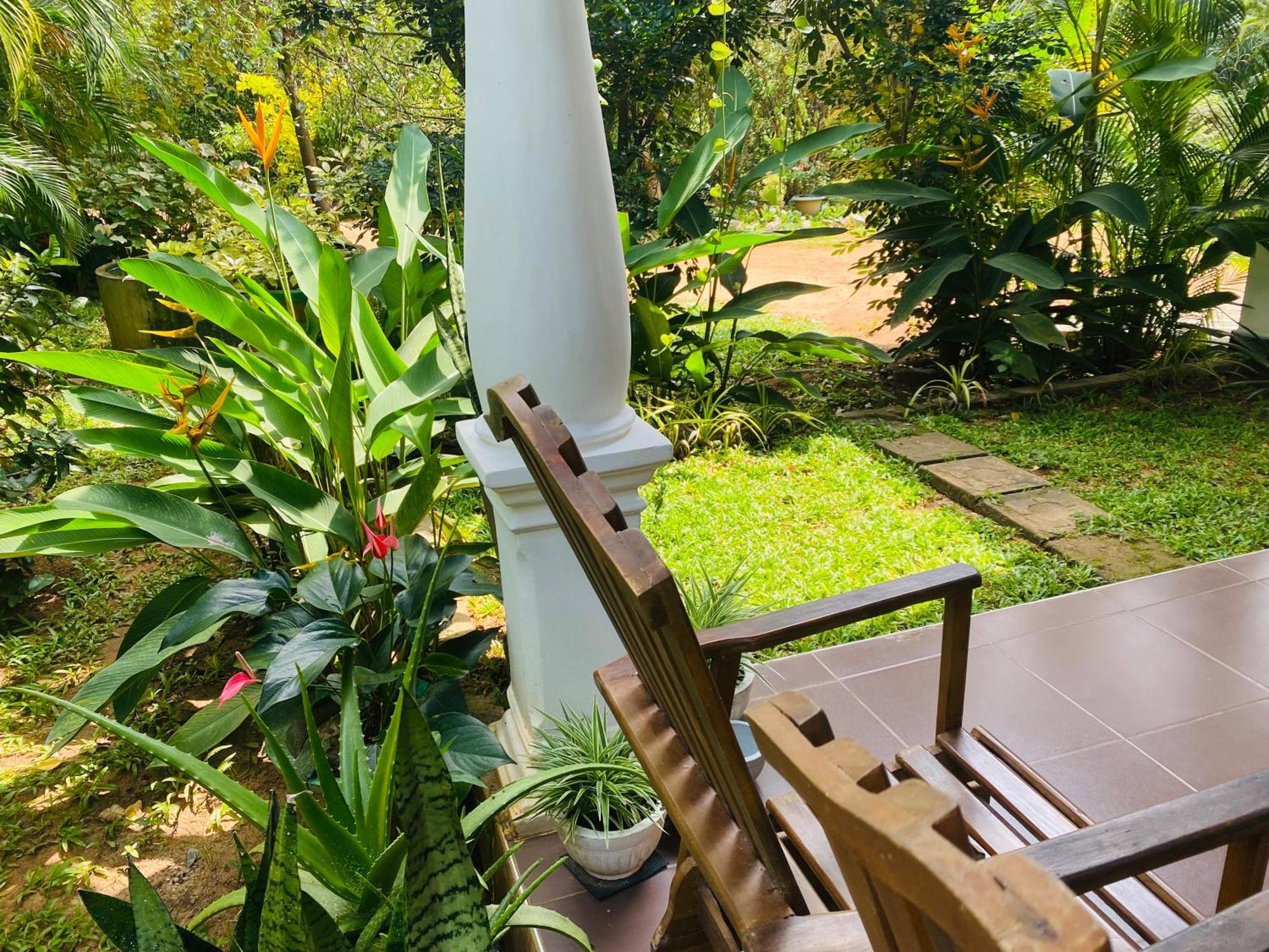 Fairview Dill Homestay 锡吉里亚 外观 照片