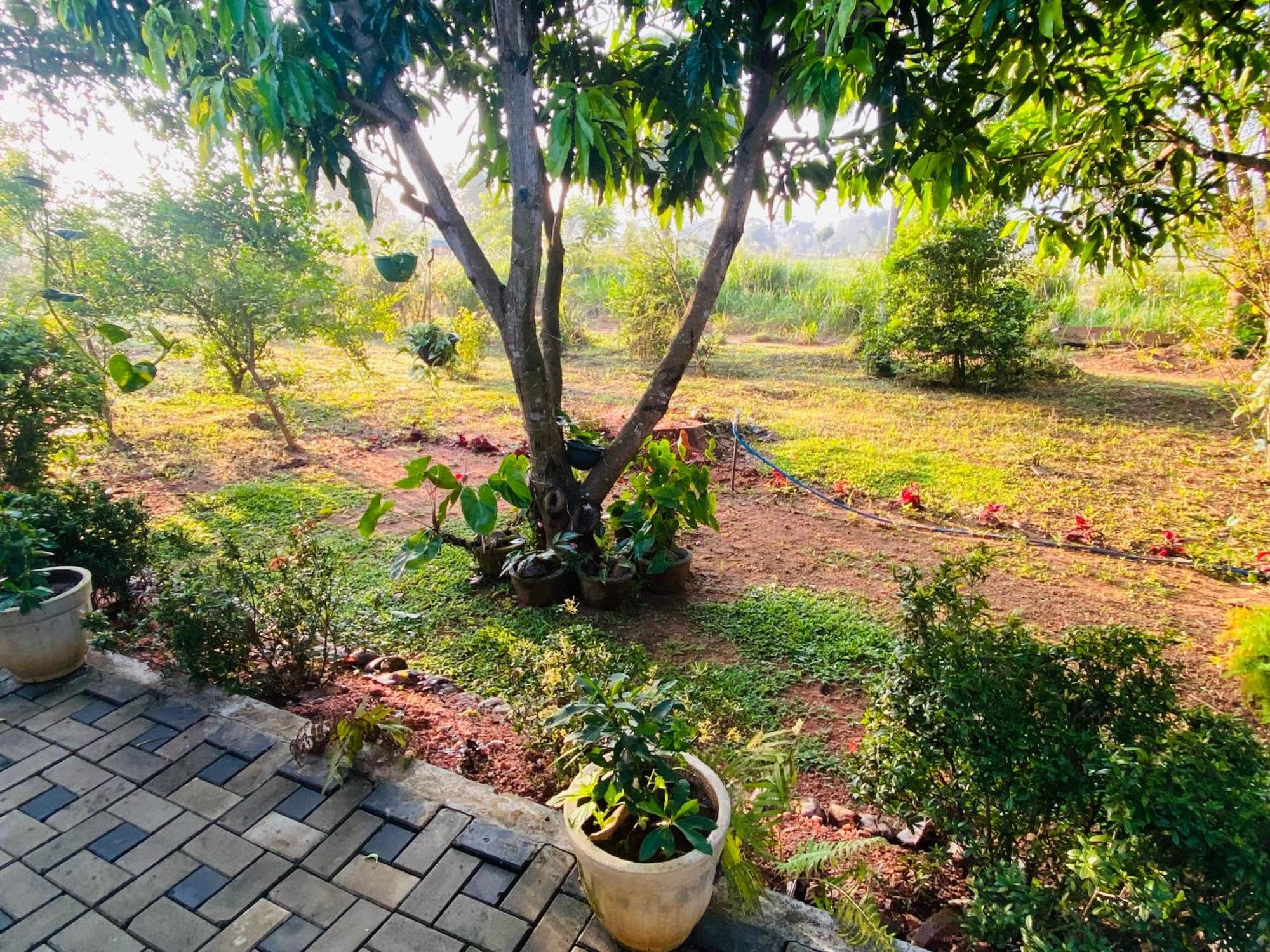 Fairview Dill Homestay 锡吉里亚 外观 照片